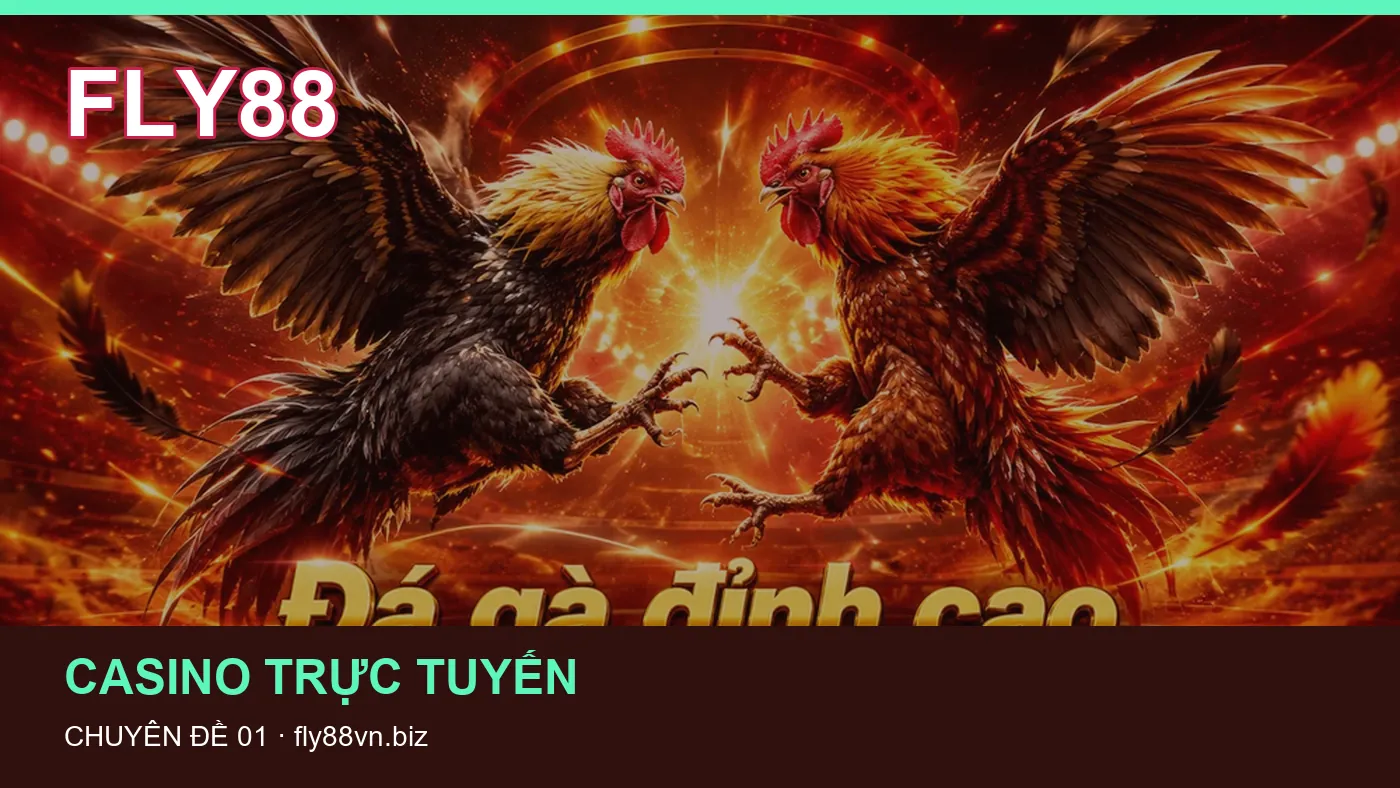 Hình minh họa bài viết FLY88
