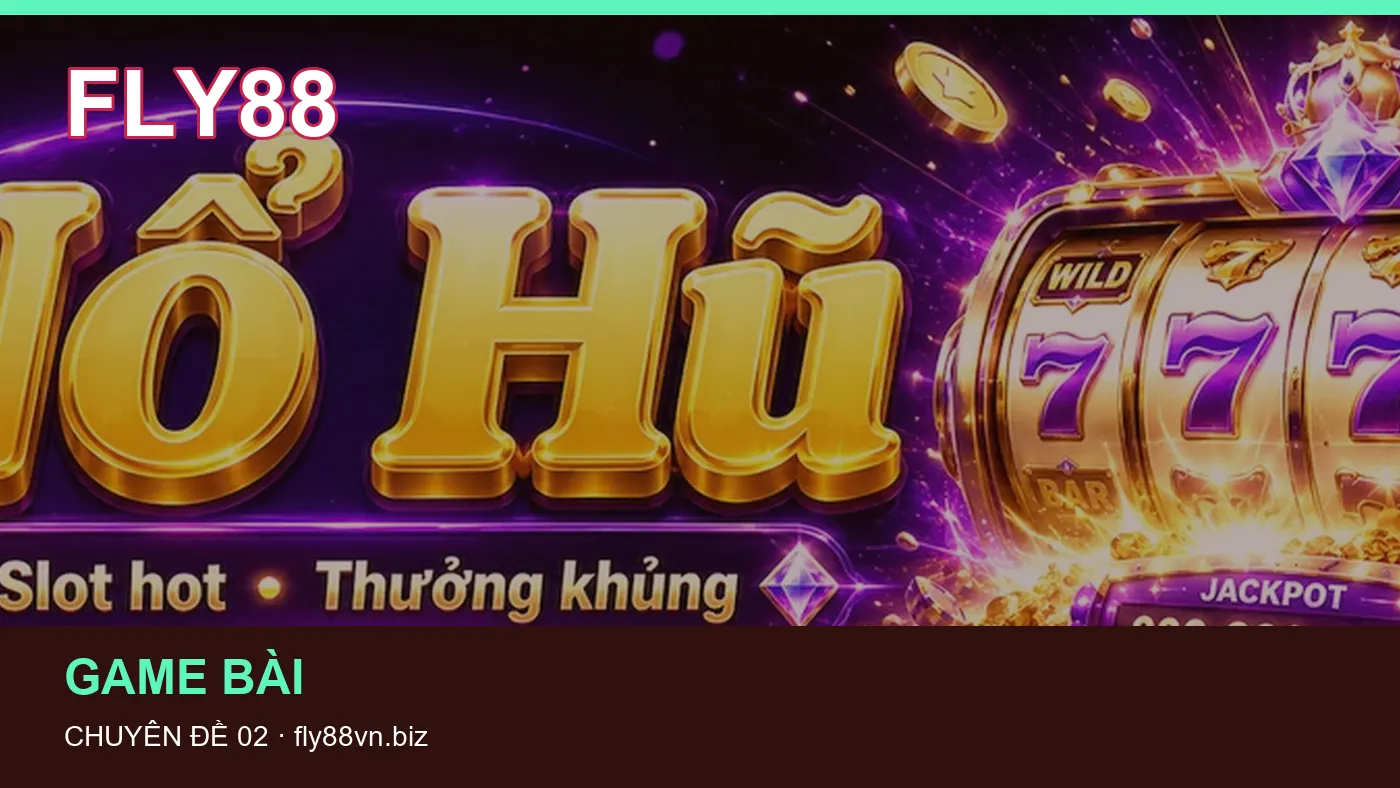 Hình minh họa bài viết FLY88