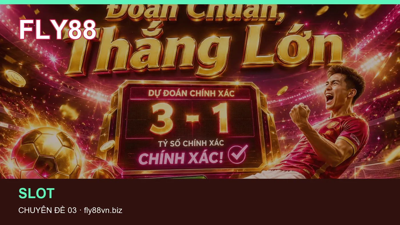 Hình minh họa bài viết FLY88