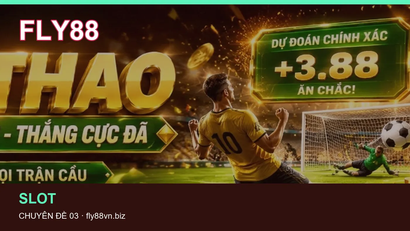 Hình minh họa bài viết FLY88