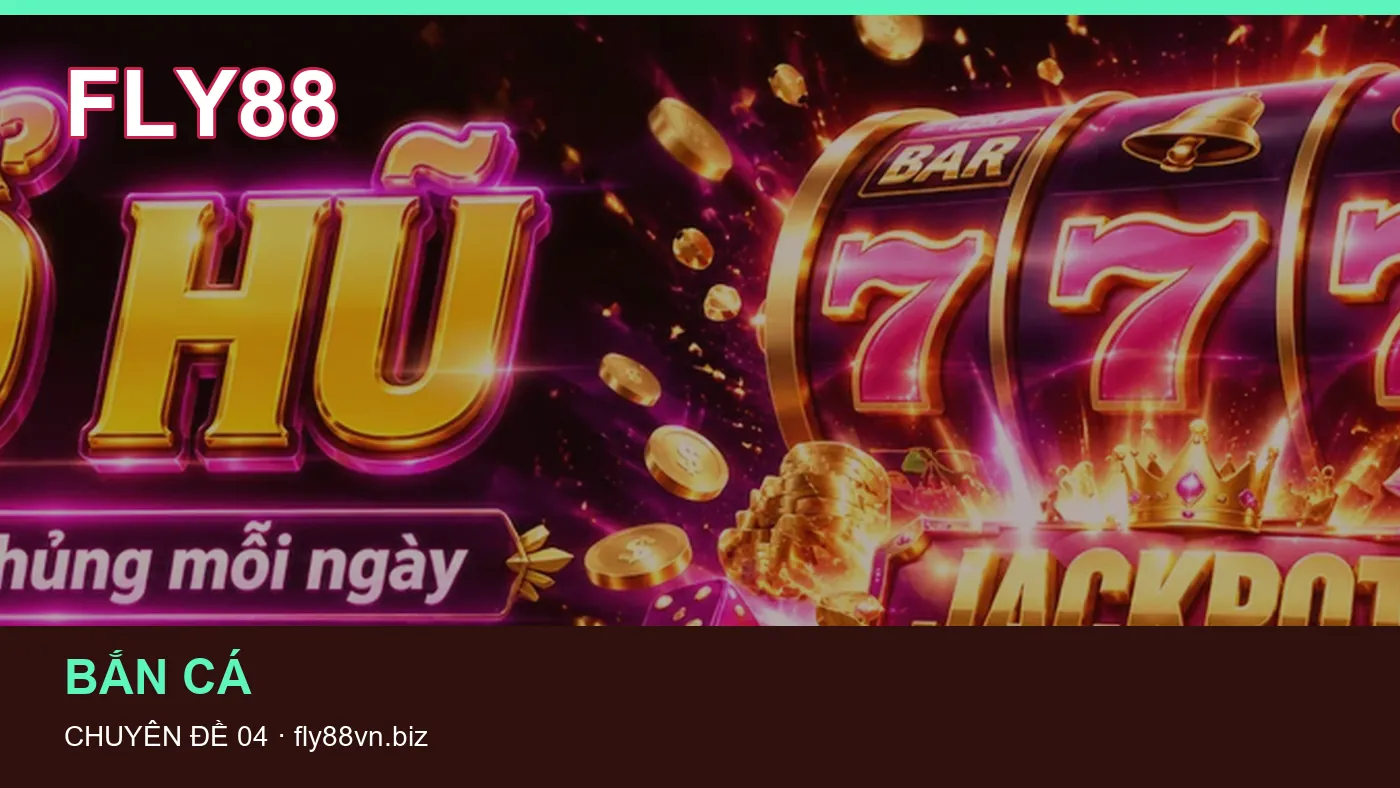 Hình minh họa bài viết FLY88