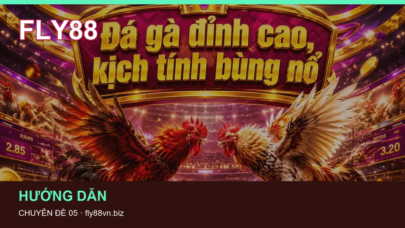 Hình minh họa bài viết FLY88