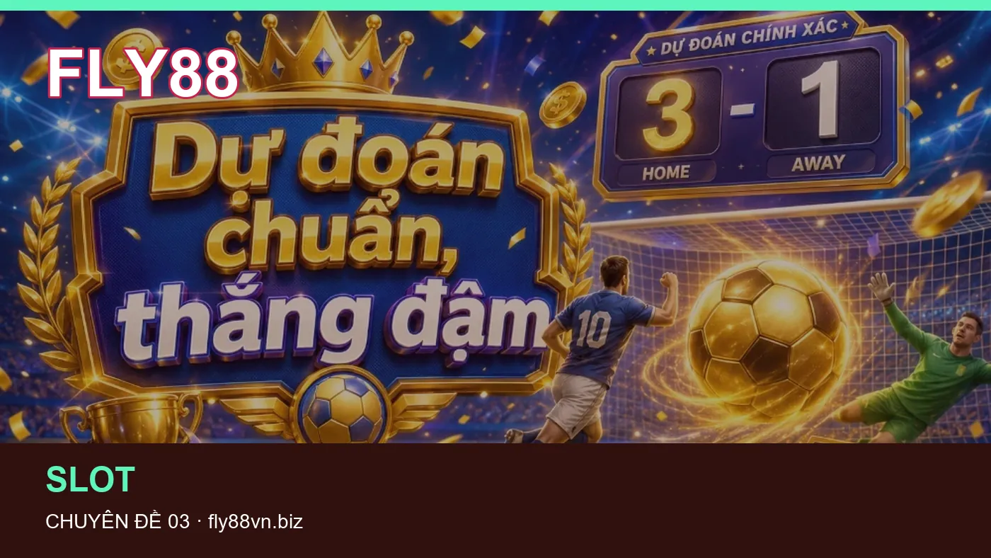 Hình minh họa bài viết FLY88