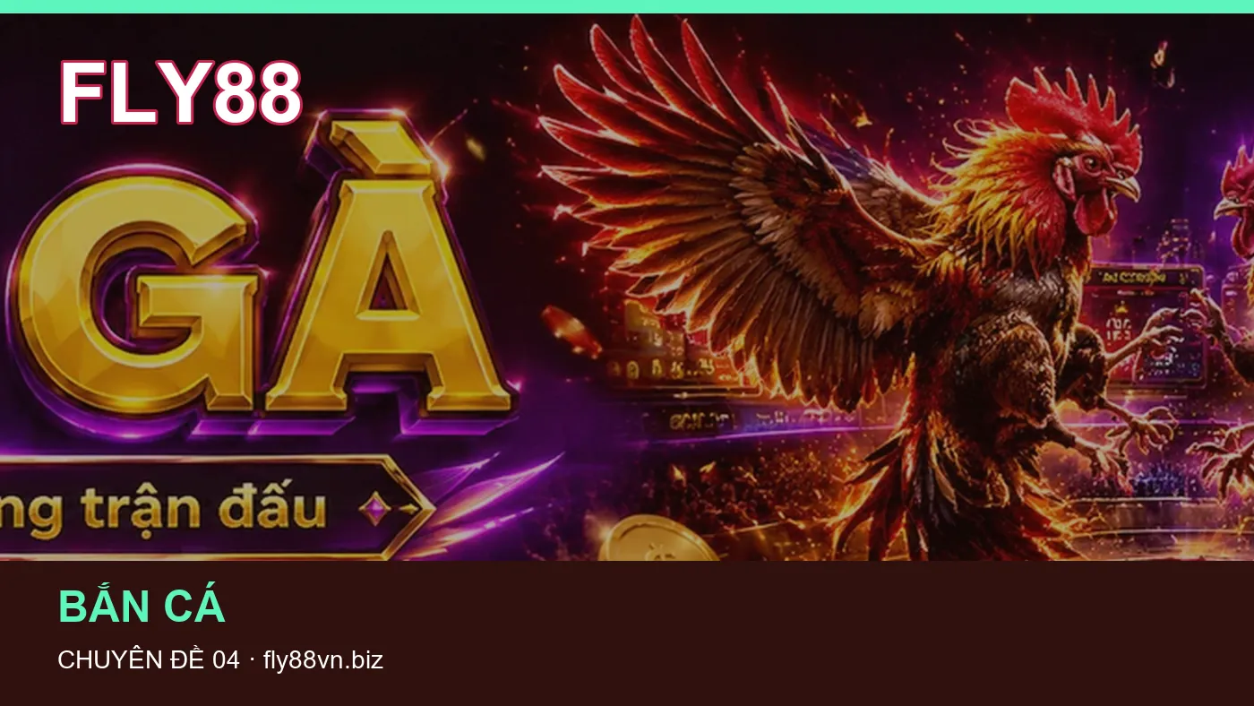Hình minh họa bài viết FLY88