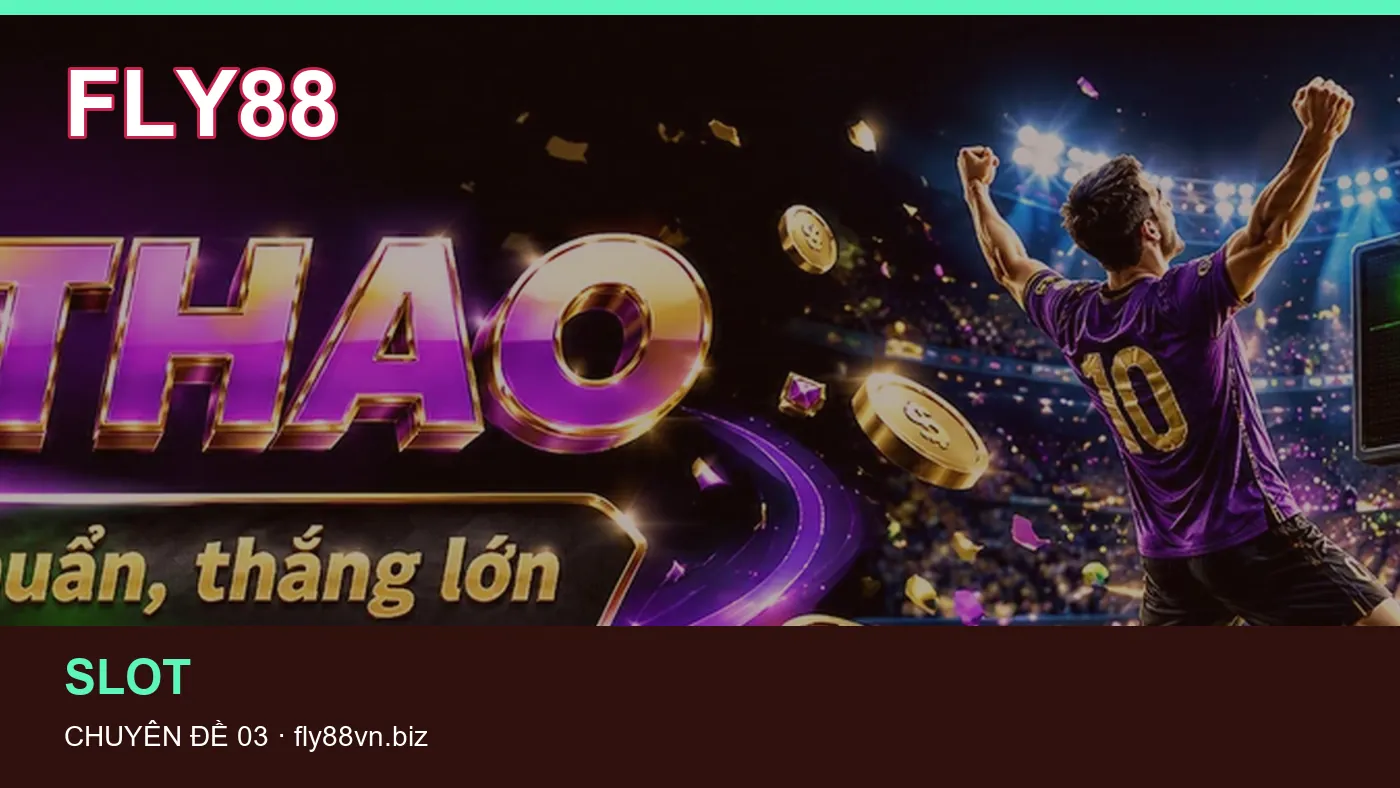 Hình minh họa bài viết FLY88