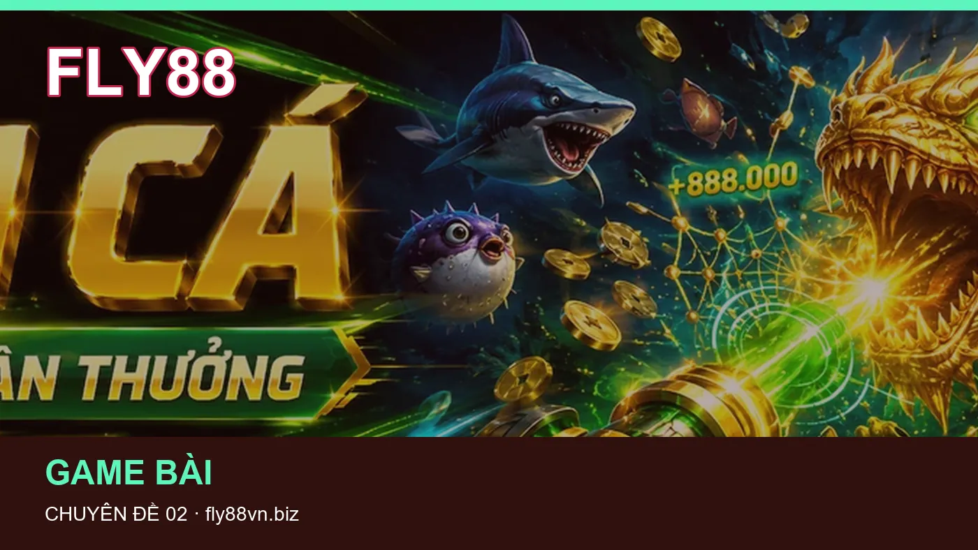 Hình minh họa bài viết FLY88